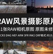 森林舞会高清版-森林舞会高清版，自然与艺术的完美融合