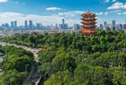 星空体育app手机版官网-星空体育app，你的手机娱乐新宠